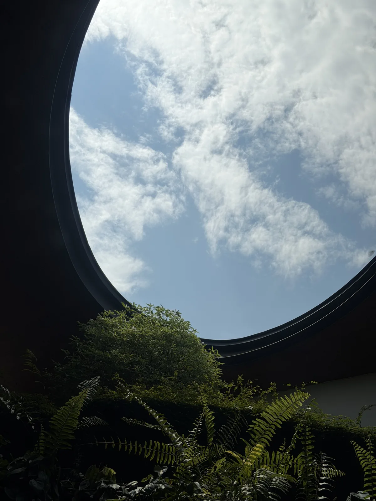 Circular architectural oculus above a landscaped courtyard, Singapore